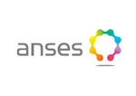 10-anses