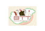 2-BTT