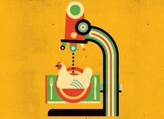 portfolio-thumb-1